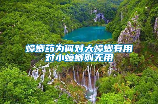 蟑螂藥為何對(duì)大蟑螂有用對(duì)小蟑螂則無(wú)用