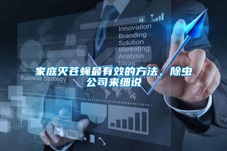 家庭滅蒼蠅最有效的方法，除蟲公司來細說