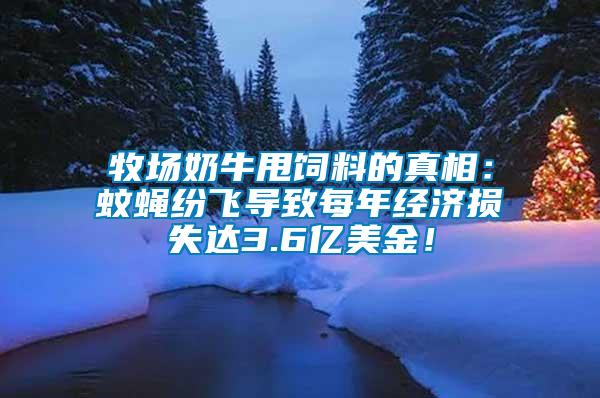 牧場奶牛甩飼料的真相：蚊蠅紛飛導致每年經濟損失達3.6億美金！