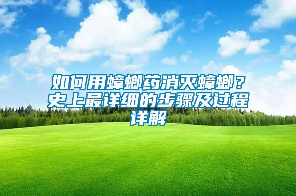如何用蟑螂藥消滅蟑螂？史上最詳細的步驟及過程詳解