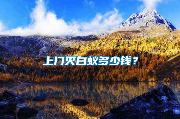上門滅白蟻多少錢？