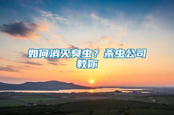 如何消滅臭蟲？殺蟲公司教你