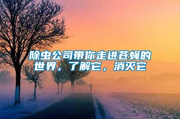 除蟲公司帶你走進蒼蠅的世界，了解它，消滅它