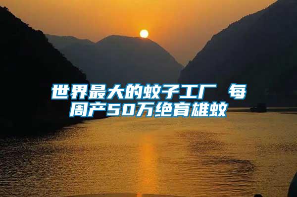 世界最大的蚊子工廠 每周產(chǎn)50萬(wàn)絕育雄蚊