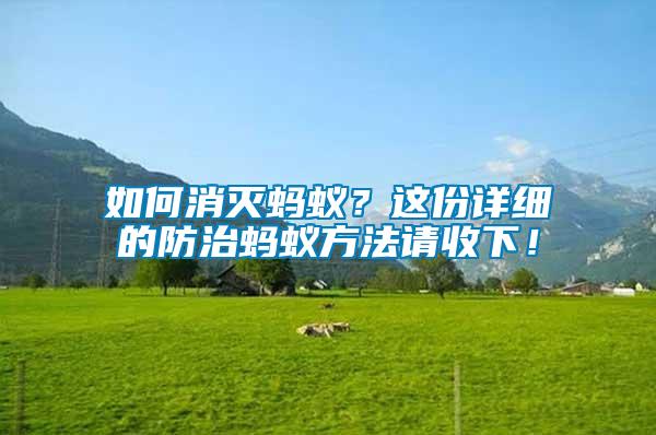如何消滅螞蟻？這份詳細(xì)的防治螞蟻方法請(qǐng)收下！
