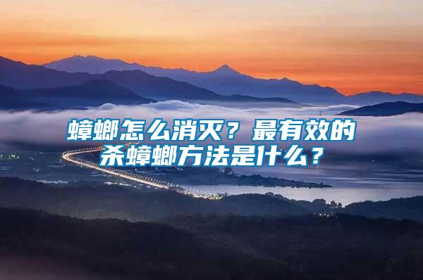 蟑螂怎么消滅？最有效的殺蟑螂方法是什么？