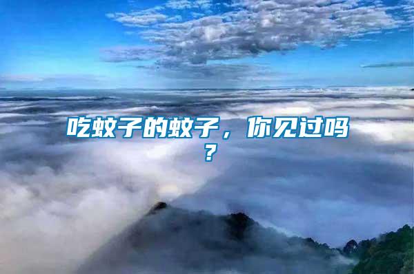 吃蚊子的蚊子，你見過嗎？