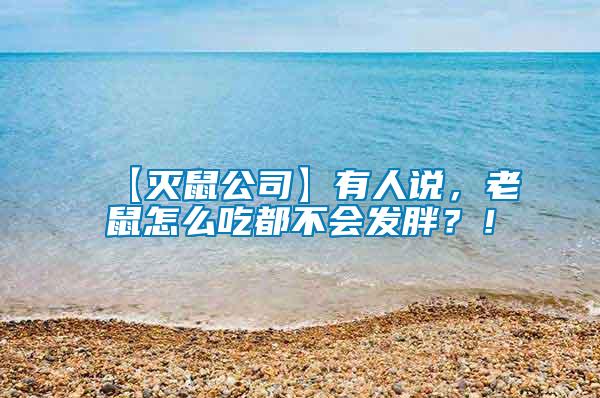 【滅鼠公司】有人說(shuō)，老鼠怎么吃都不會(huì)發(fā)胖？！
