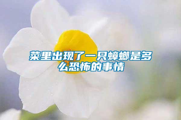 菜里出現了一只蟑螂是多么恐怖的事情