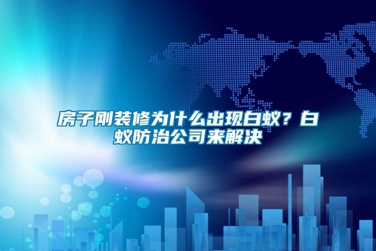 房子剛裝修為什么出現白蟻？白蟻防治公司來解決