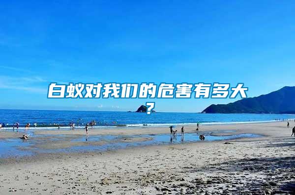 白蟻對我們的危害有多大？