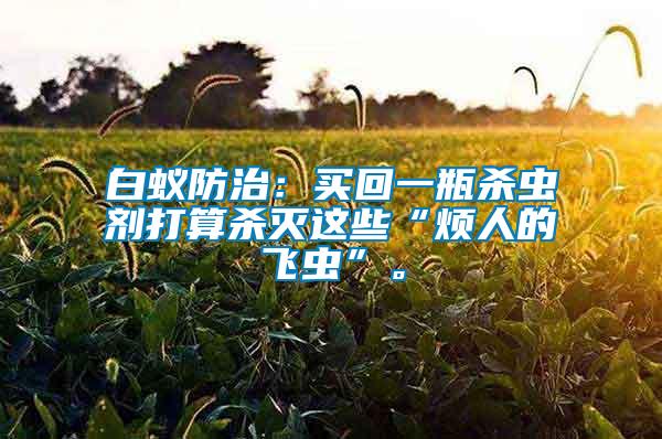 白蟻防治：買回一瓶殺蟲劑打算殺滅這些“煩人的飛蟲”。