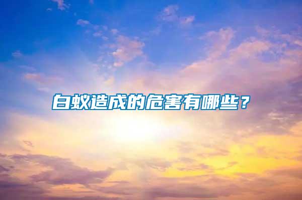 白蟻造成的危害有哪些？