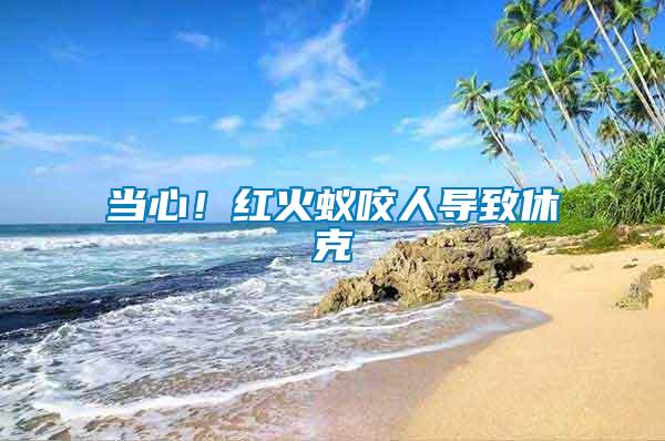 當心！紅火蟻咬人導致休克