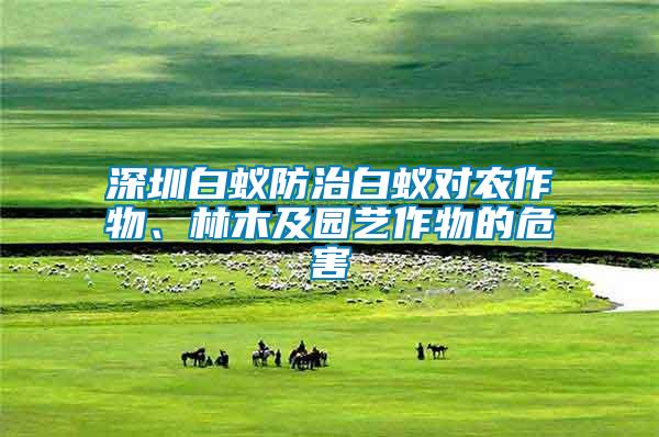 深圳白蟻防治白蟻對農(nóng)作物、林木及園藝作物的危害