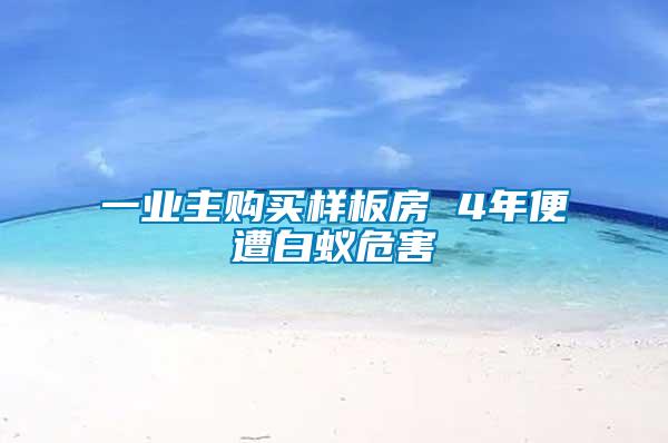 一業主購買樣板房 4年便遭白蟻危害