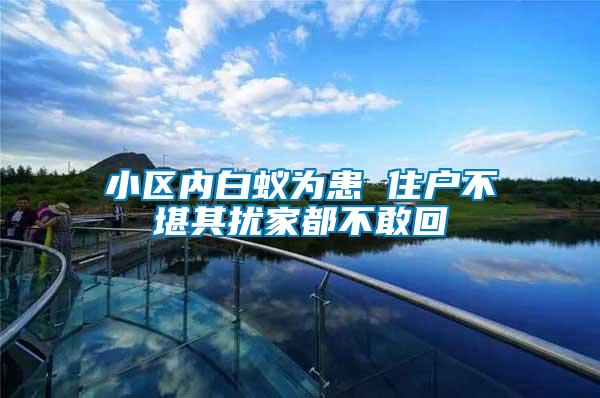 小區內白蟻為患 住戶不堪其擾家都不敢回