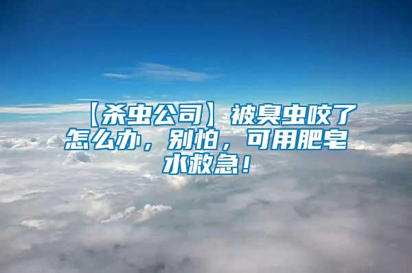 【殺蟲公司】被臭蟲咬了怎么辦，別怕，可用肥皂水救急！
