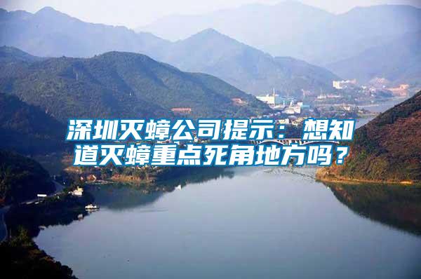 深圳滅蟑公司提示：想知道滅蟑重點死角地方嗎？