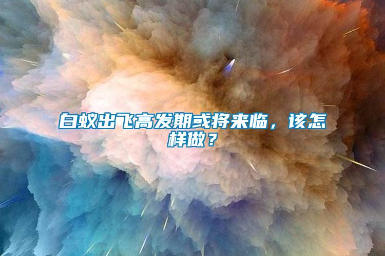 白蟻出飛高發期或將來臨，該怎樣做？