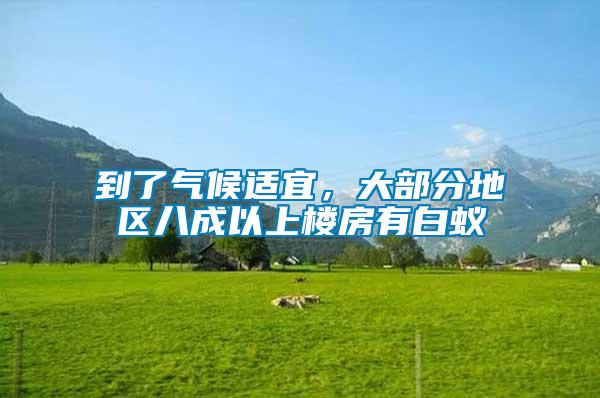 到了氣候適宜，大部分地區八成以上樓房有白蟻