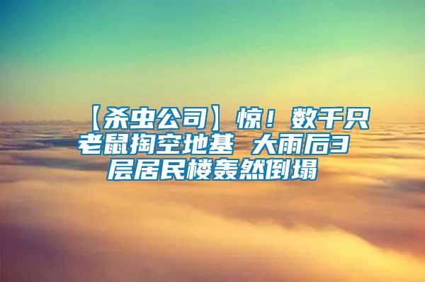 【殺蟲公司】驚！數(shù)千只老鼠掏空地基 大雨后3層居民樓轟然倒塌