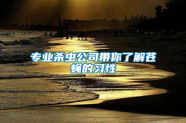 專業(yè)殺蟲(chóng)公司帶你了解蒼蠅的習(xí)性