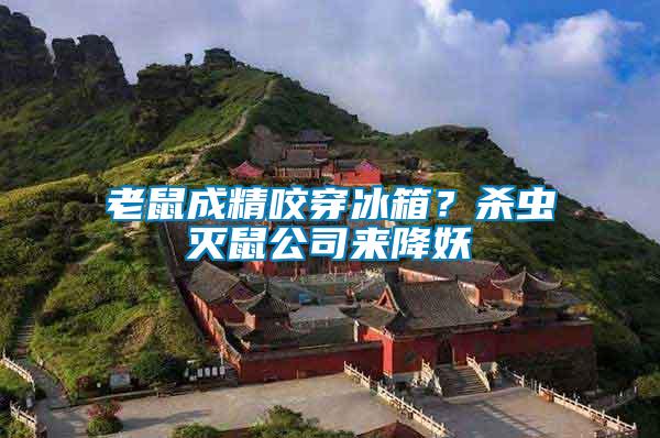 老鼠成精咬穿冰箱？殺蟲(chóng)滅鼠公司來(lái)降妖