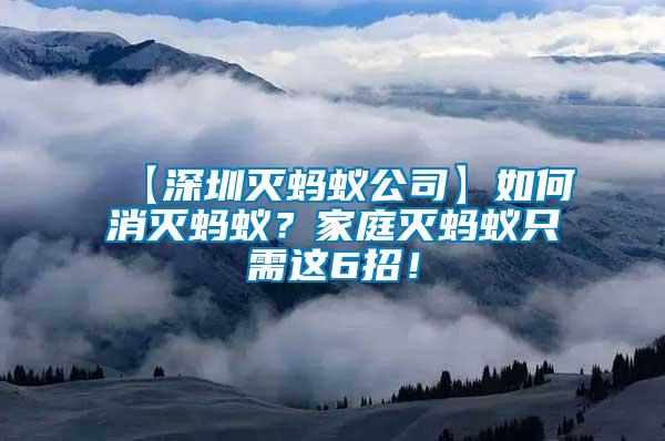 【深圳滅螞蟻公司】如何消滅螞蟻？家庭滅螞蟻只需這6招！