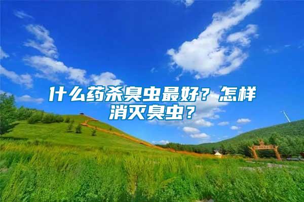 什么藥殺臭蟲最好？怎樣消滅臭蟲？