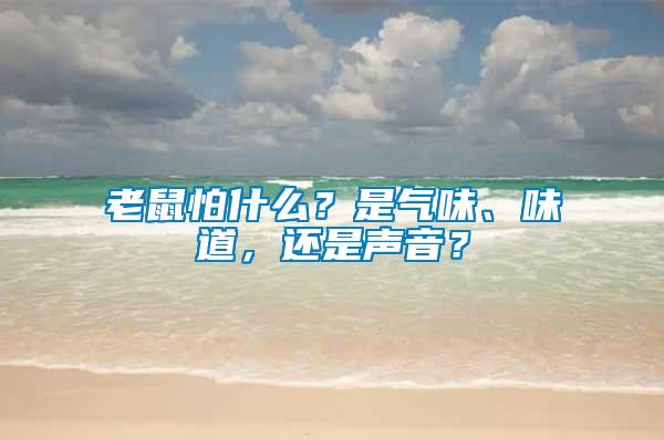 老鼠怕什么？是氣味、味道，還是聲音？