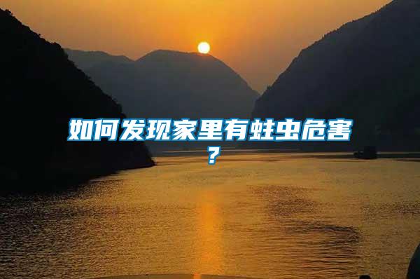 如何發現家里有蛀蟲危害？