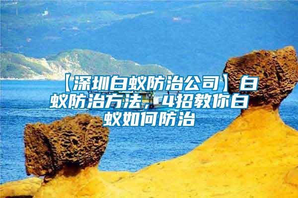 【深圳白蟻防治公司】白蟻防治方法，4招教你白蟻如何防治