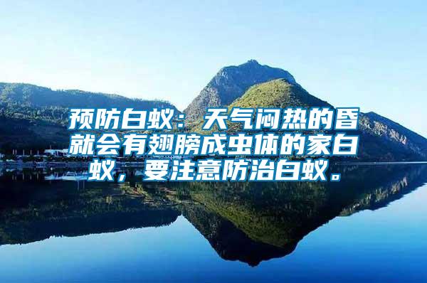 預防白蟻：天氣悶熱的昏就會有翅膀成蟲體的家白蟻，要注意防治白蟻。