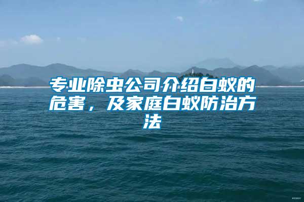 專業除蟲公司介紹白蟻的危害，及家庭白蟻防治方法