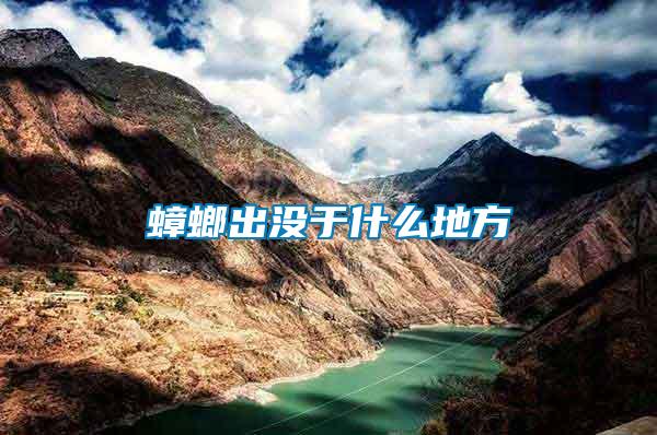 蟑螂出沒(méi)于什么地方
