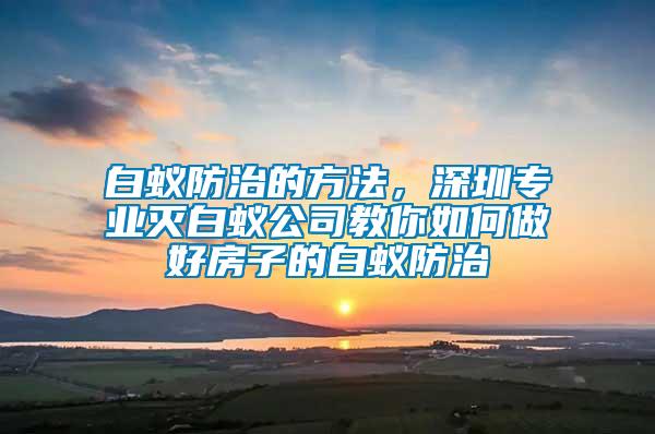 白蟻防治的方法，深圳專業滅白蟻公司教你如何做好房子的白蟻防治