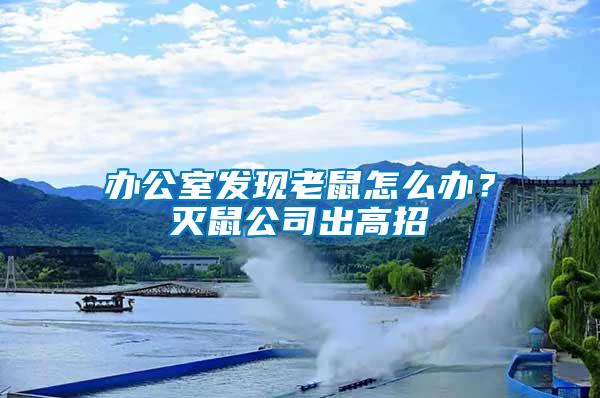 辦公室發現老鼠怎么辦？滅鼠公司出高招