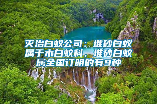 滅治白蟻公司：堆砂白蟻屬于木白蟻科，堆砂白蟻屬全國訂明的有9種