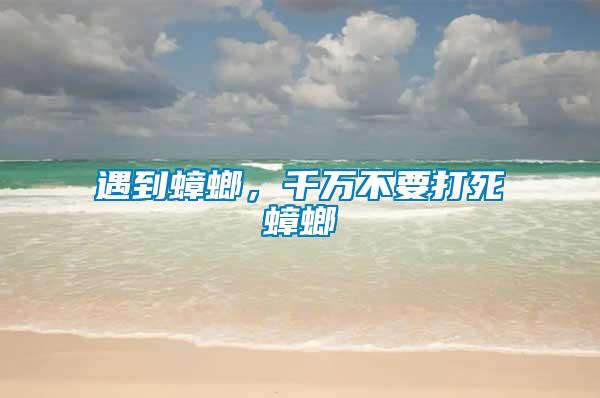 遇到蟑螂，千萬(wàn)不要打死蟑螂