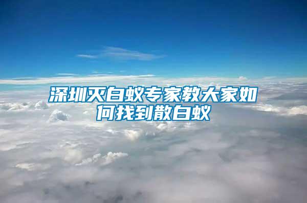 深圳滅白蟻專(zhuān)家教大家如何找到散白蟻