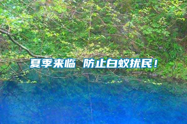 夏季來臨 防止白蟻擾民！