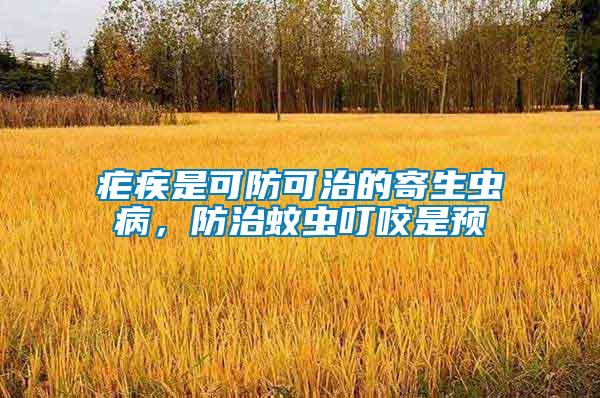 瘧疾是可防可治的寄生蟲病，防治蚊蟲叮咬是預