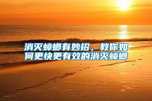 消滅蟑螂有妙招，教你如何更快更有效的消滅蟑螂
