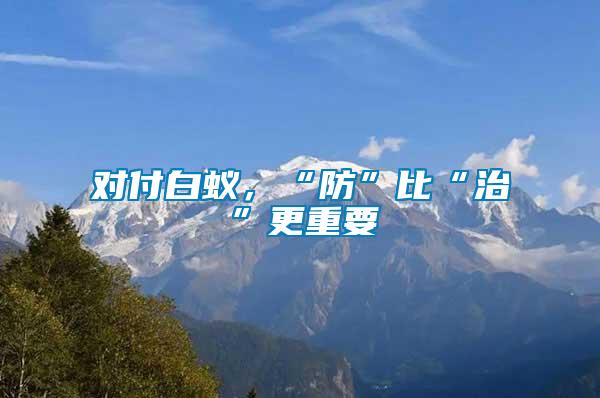 對付白蟻，“防”比“治”更重要
