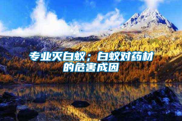 專業滅白蟻；白蟻對藥材的危害成因