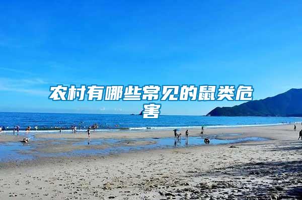 農村有哪些常見的鼠類危害