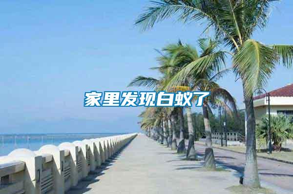 家里發現白蟻了