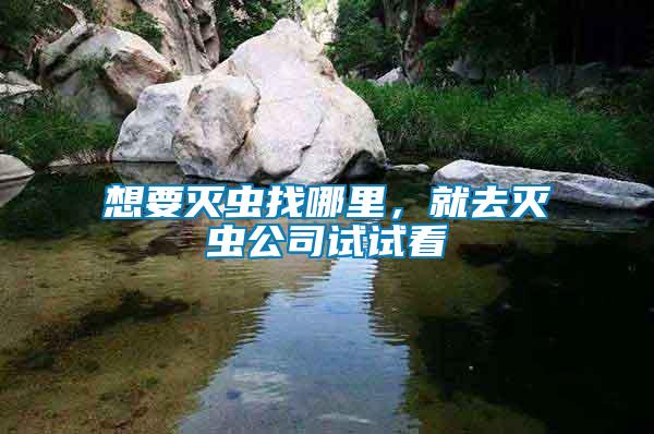 想要滅蟲找哪里，就去滅蟲公司試試看