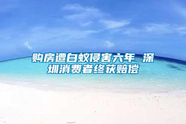 購房遭白蟻侵害六年 深圳消費(fèi)者終獲賠償
